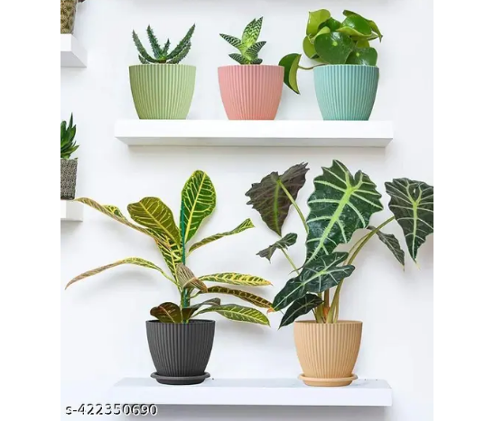 FANCY 5 PIS COMBO OF THE Plastic Round Flower Pots for Home Indoor & Outdoor Gardening Plants